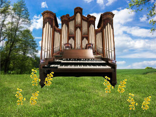 figure field organ