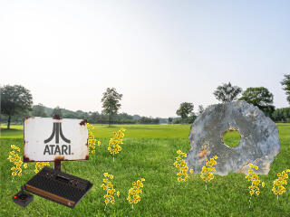 figure field